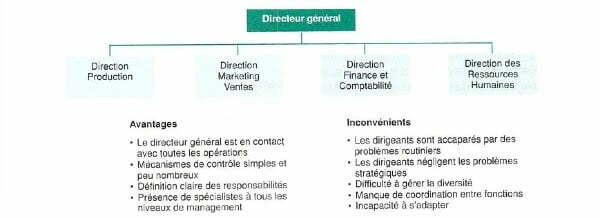 La structure fonctionnelle