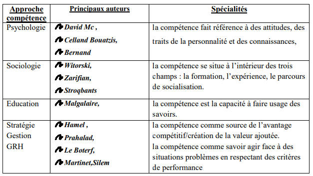 qu’est ce que l’on entend par compétence ?
