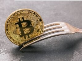 hard fork en crypto-monnaie
