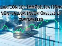 Evaluation des immobilisations en non-valeur, incorporelles et corporelles