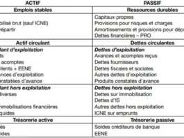 Le bilan Fonctionnel