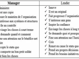 L'entreprise et le manager