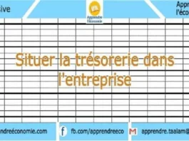 la gestion de trésorerie : importance, objectifs et trésorier