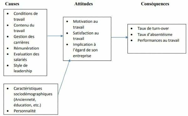 Méthodologie (Démarche) de l’audit social