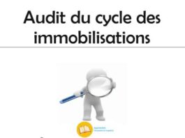 audit des immobilisations