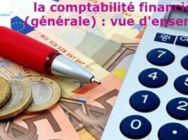 la comptabilité générale (financière) : vue d'ensemble