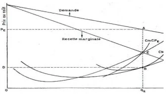 équilibre du monopole à long terme