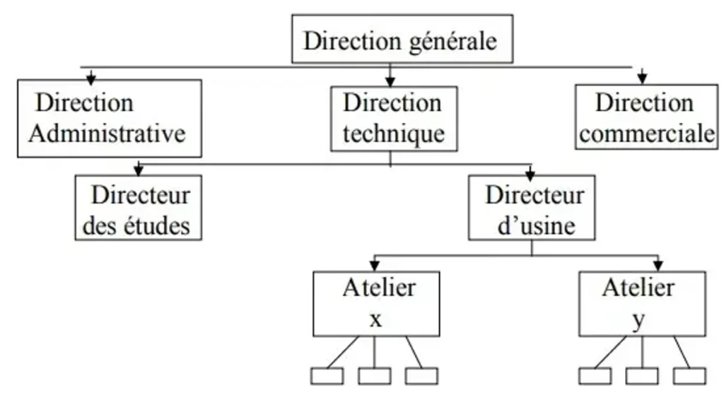 Les structures de l'entreprise : définitions, déterminants et typologie