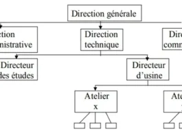 Les structures de l'entreprise : définitions, déterminants et typologie