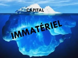 Capital immatériel - définition, composants et compétitivité