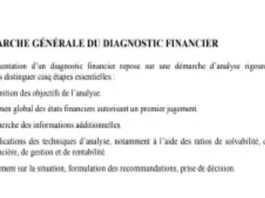 Démarche générale du diagnostic financier