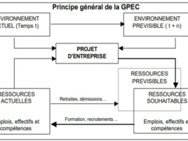 La gestion prévisionnelle des emplois et des compétences (GPEC)