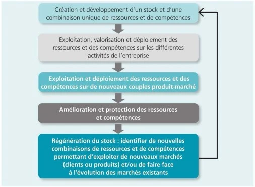 Le-developpement-du-portefeuille-de-ressources-et-de-competences