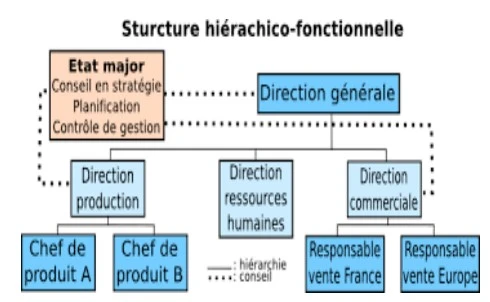 Les structures de l'entreprise : définitions, déterminants et typologie