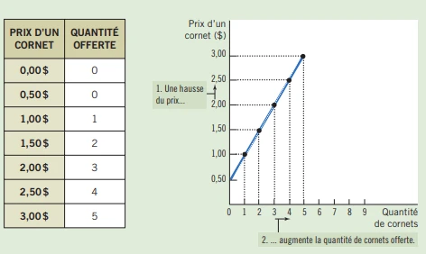 l’offre et la demande : Les forces du marché