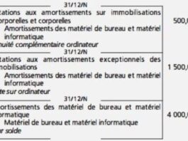 Les sorties d'immobilisations en comptabilité principes, calculs et comptabilisation