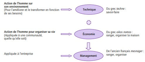 Pourquoi les organisations existent-elles ?