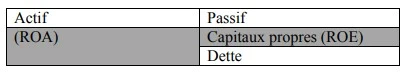 ROA (return on assets) et ROE (returns on equity)