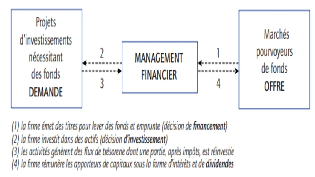 Les aspects du rôle décisionnel du dirigeant financier