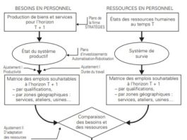 La gestion prévisionnelle des effectifs : Anticiper pour Réussir