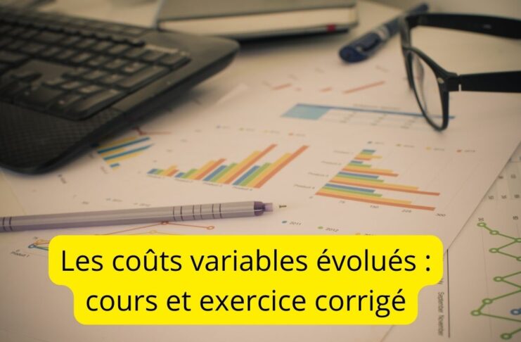 Les coûts variables évolués : cours et exercice corrigé