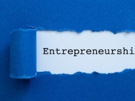 Facteurs influant sur l'émergence de l'entrepreneuriat