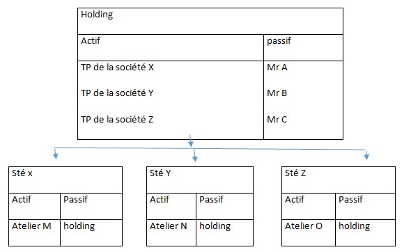 le holding : typologie et montage