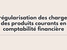 https://jaware.biz/fr/ebooks/la-r%C3%A9gularisation-des-charges-et-des-produits-courants-en-comptabilit%C3%A9-financi%C3%A8re-pdf