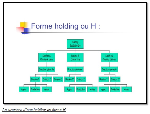 La structure d’une holding en forme H