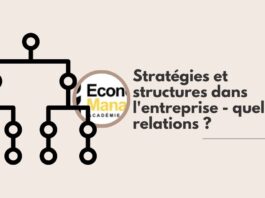 Stratégies et structures dans l'entreprise - quelles relations ?