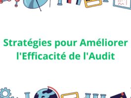 Stratégies pour Améliorer l'Efficacité de l'Audit