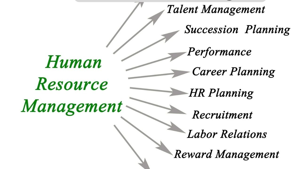 7 Best Practices in Human Resources Development