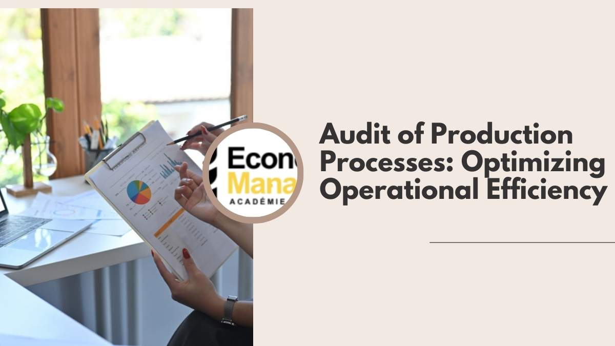 Audit of Production Processes: Optimizing Operational Efficiency