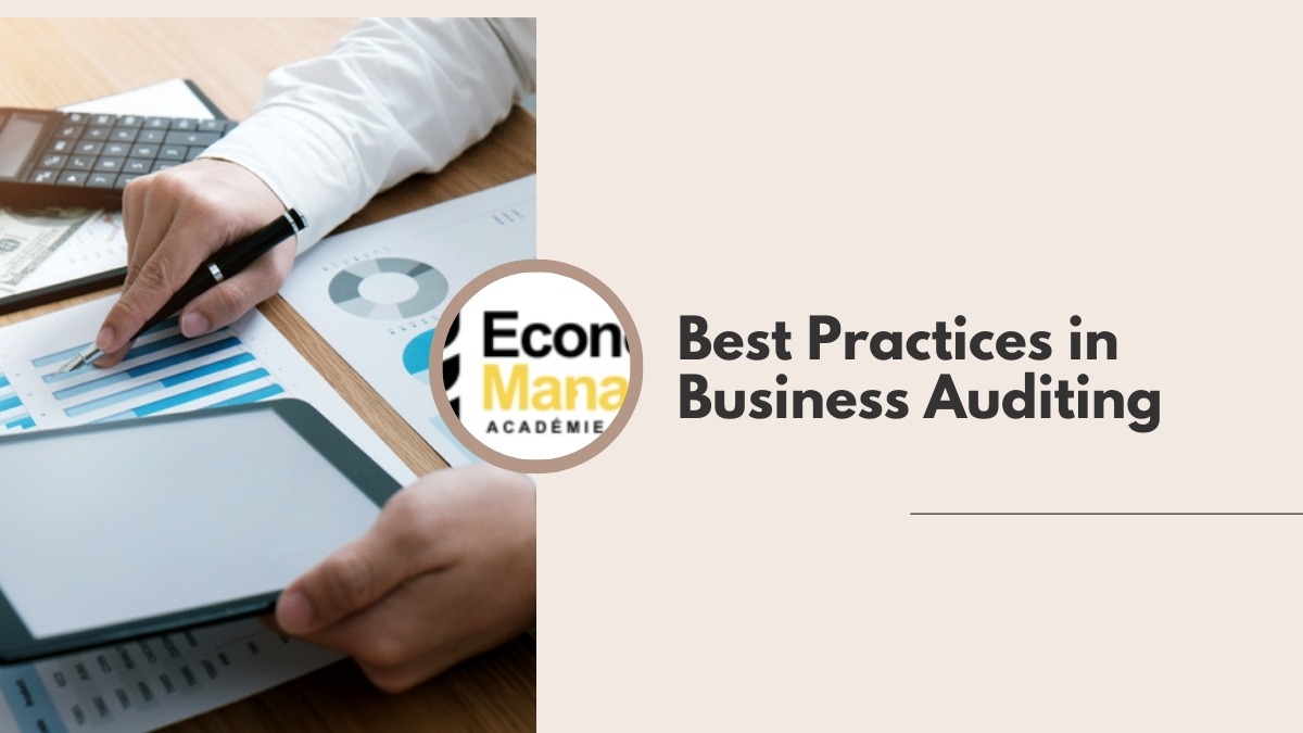 Best Practices in Business Auditing