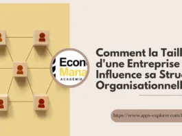 Comment la Taille d'une Entreprise Influence sa Structure Organisationnelle