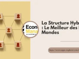 La Structure Hybridée : Le Meilleur des Deux Mondes