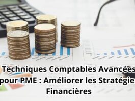 Techniques Comptables Avancées pour PME : Améliorer les Stratégies Financières