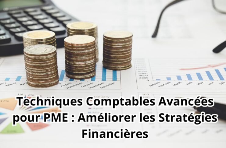 Techniques Comptables Avancées pour PME : Améliorer les Stratégies Financières