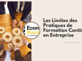 Les Limites des Pratiques de Formation Continue en Entreprise