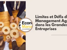 Limites et Défis du Management Agile dans les Grandes Entreprises