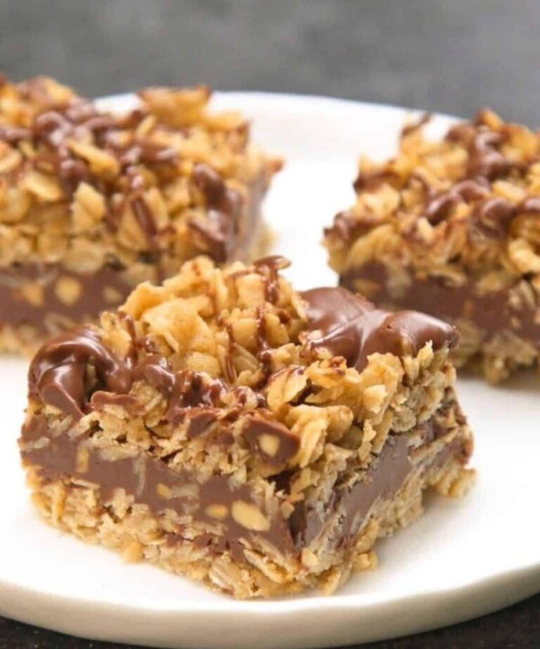 Chocolate Oatmeal No-Bake Bars